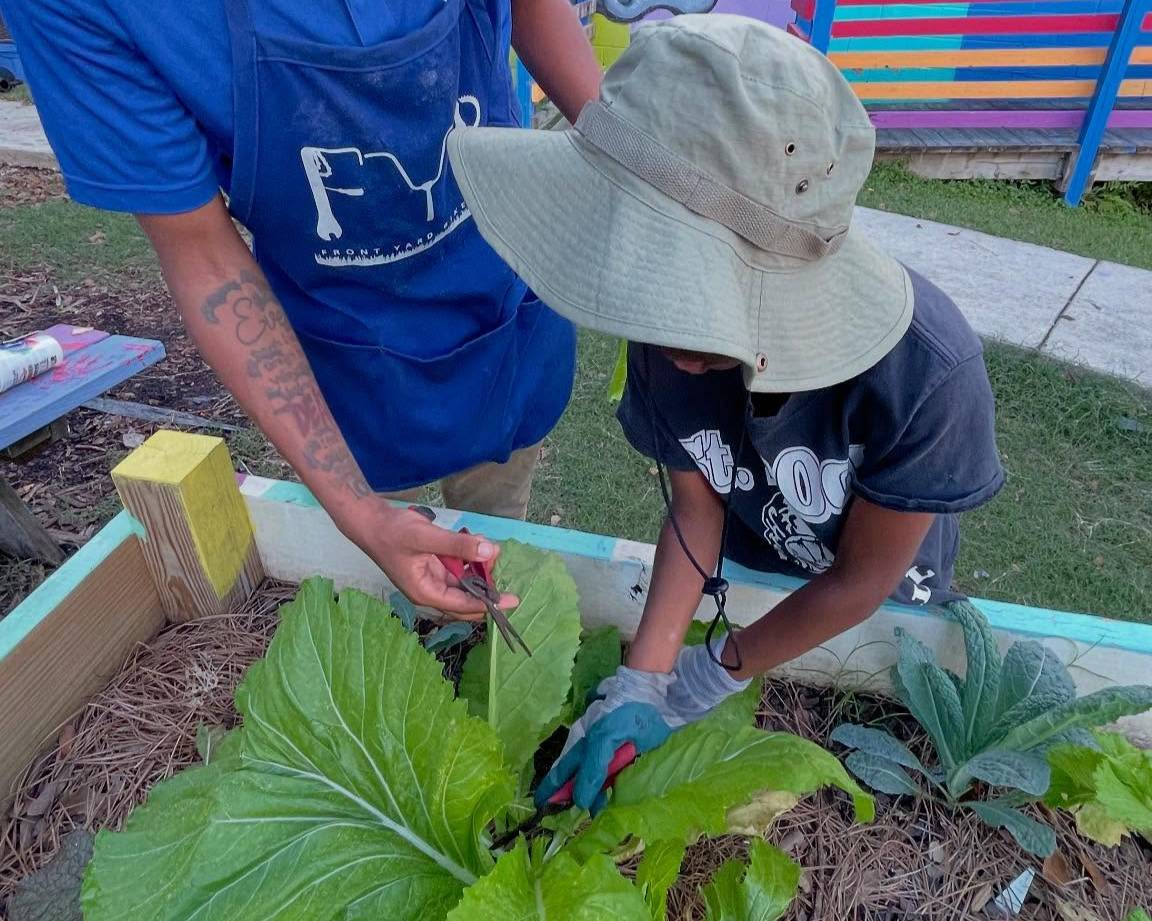 Hands working in a garden