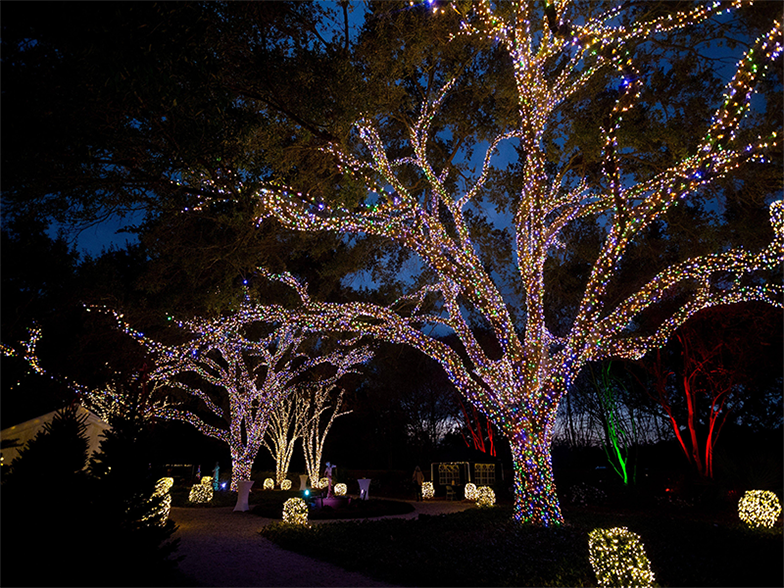 colorful string of lights wrapped around live oak trees in Windrush Gardens