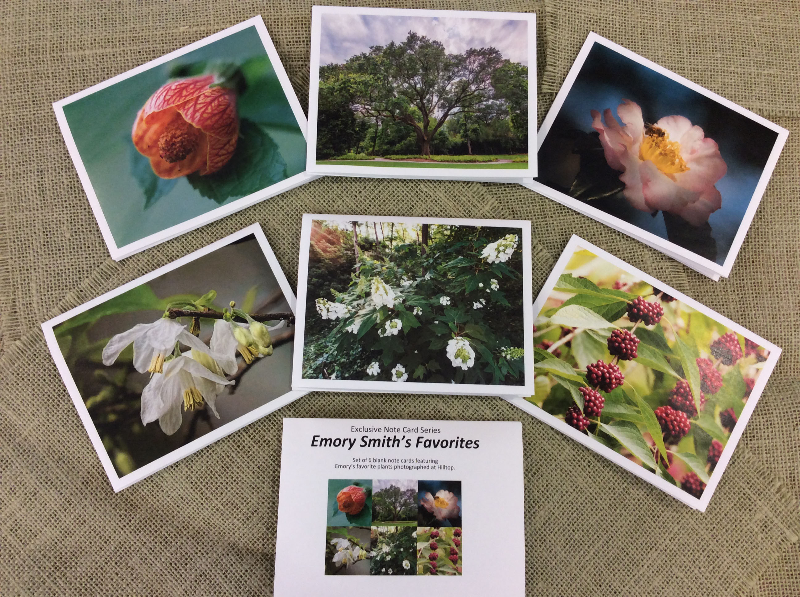 display of Emory Smiths Favorites notecard set