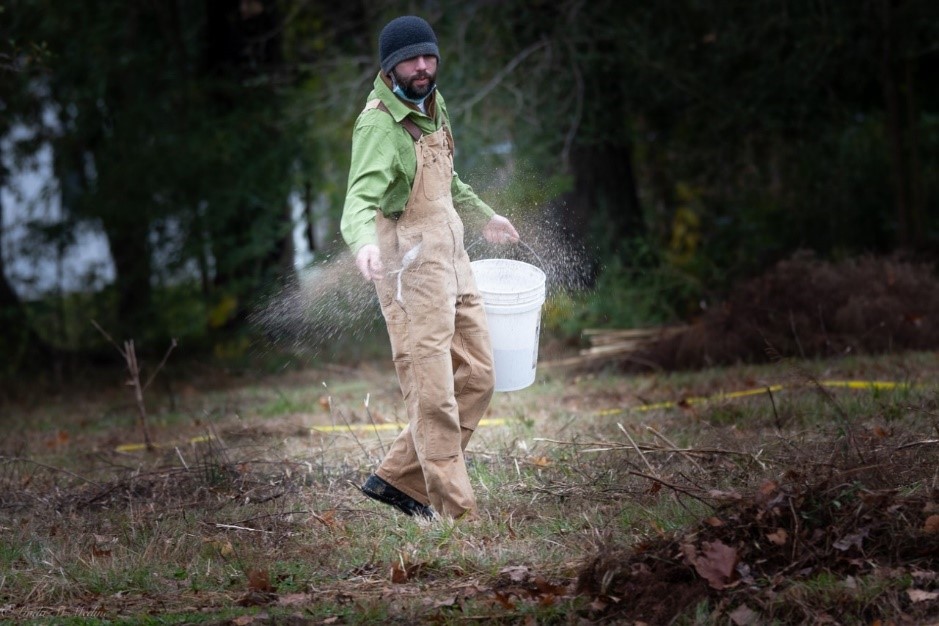 Colin Nelson scattering wildflower seeds