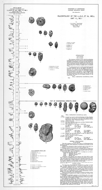 Paleontology of the L. L. & E. et al., Well Unit 1-L