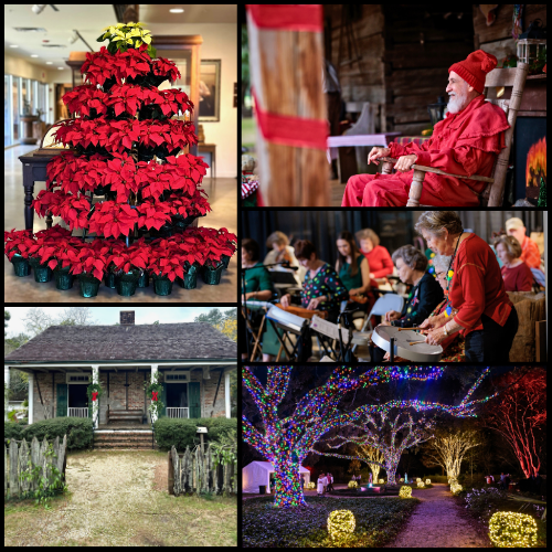 christmas event activities