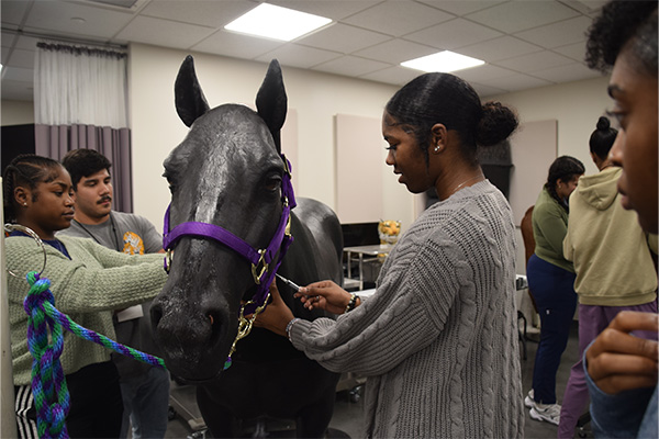 students in clinical skills lab